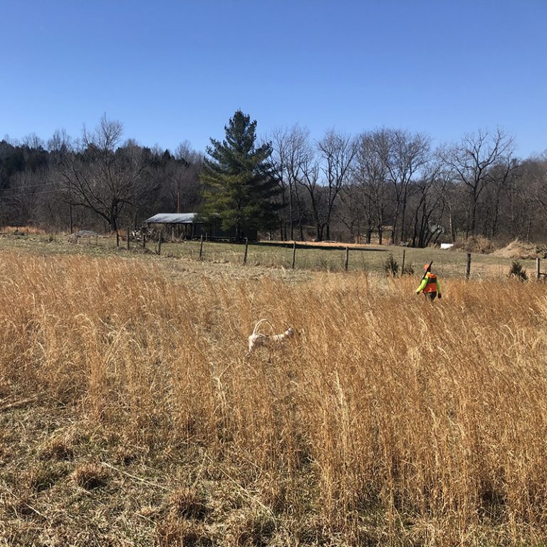 About Tuck Away Hunting Preserve